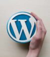 Ücretsiz WordPress Temaları
